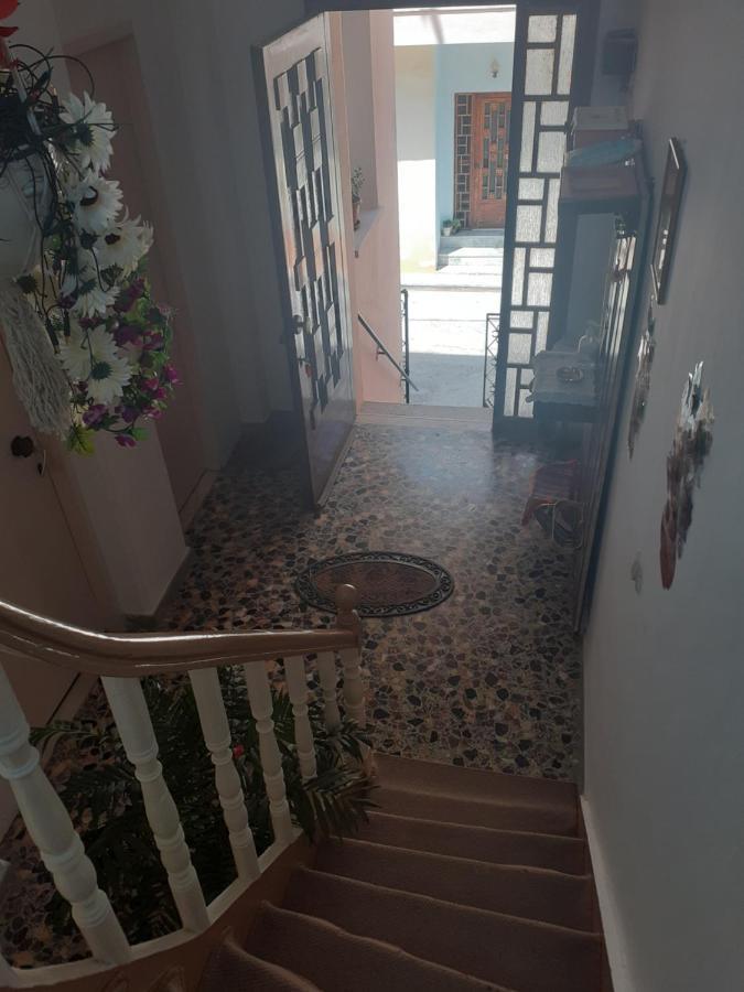 Hotel Thalia'S Garden Mytilíni Zewnętrze zdjęcie